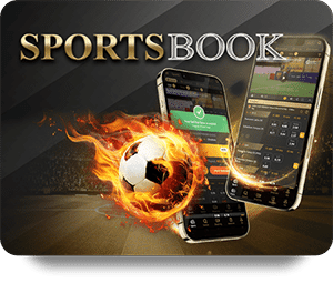 How to Maximize Winnings on Oxbet Live Dealer Hot Tables