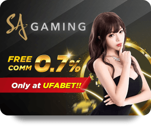BK8 Đá Gà Trực Tiếp Tỷ Lệ Thanh Toán Cao